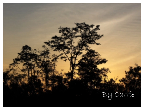 【馬來西亞】沙巴之旅 – Day3 @飛天璇的口袋