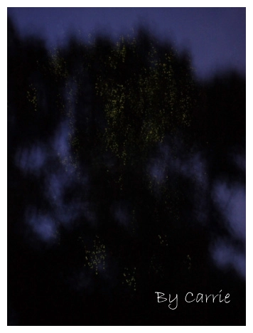 【馬來西亞】沙巴之旅 – Day3 @飛天璇的口袋