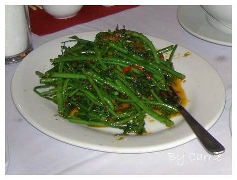 【馬來西亞】沙巴之旅 – Day4 @飛天璇的口袋