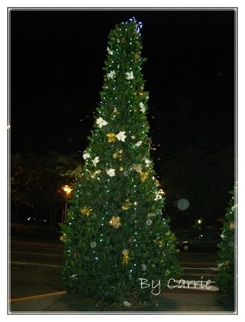 【台中餐廳】貝里尼 BELLINI PASTA PASTA @飛天璇的口袋