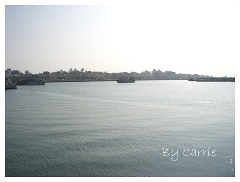 【台南旅遊】初三擠爆之台南一日遊 @飛天璇的口袋