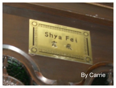 【台中餐廳】上海新樂園(已歇業) @飛天璇的口袋