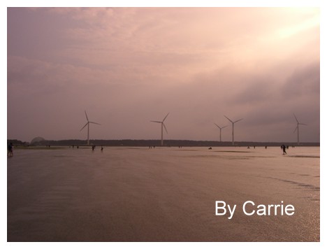 【台中旅遊】清水高美溼地 @飛天璇的口袋