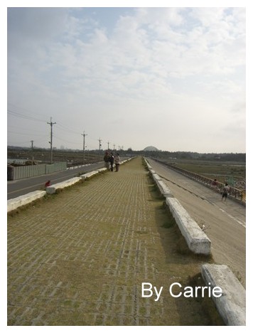 【台中旅遊】清水高美溼地 @飛天璇的口袋