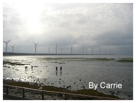 【台中旅遊】清水高美溼地 @飛天璇的口袋