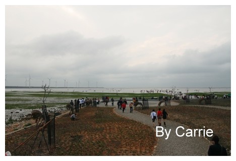 【台中旅遊】清水高美溼地 @飛天璇的口袋