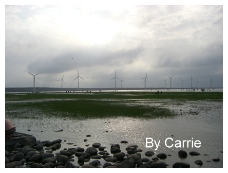 【台中旅遊】清水高美溼地 @飛天璇的口袋