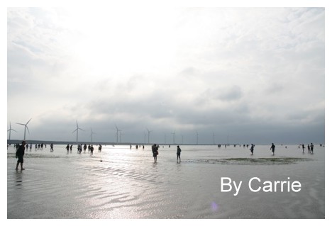 【台中旅遊】清水高美溼地 @飛天璇的口袋