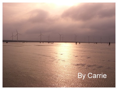 【台中旅遊】清水高美溼地 @飛天璇的口袋