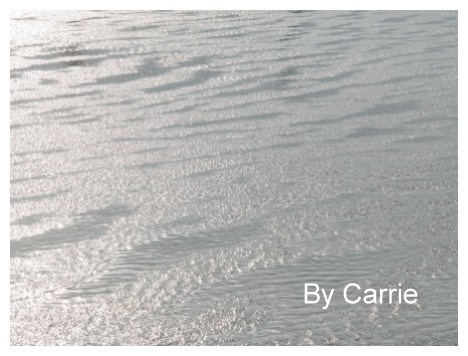 【台中旅遊】清水高美溼地 @飛天璇的口袋