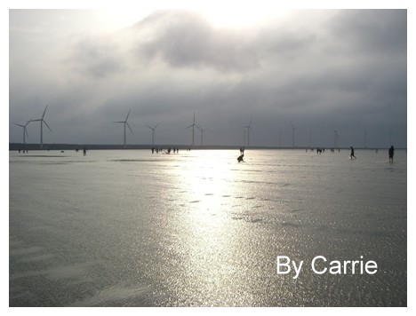 【台中旅遊】清水高美溼地 @飛天璇的口袋