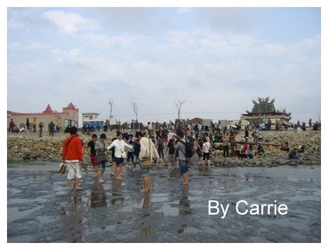 【台中旅遊】清水高美溼地 @飛天璇的口袋