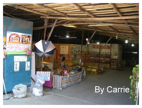 【台中旅遊】新社阿亮香菇園 @飛天璇的口袋