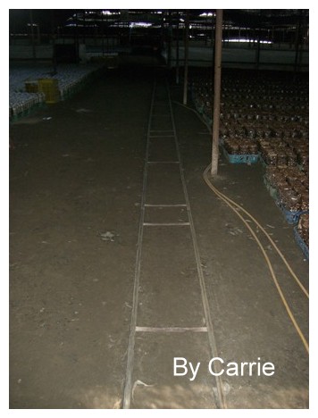 【台中旅遊】新社阿亮香菇園 @飛天璇的口袋