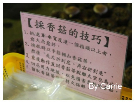 【台中旅遊】新社阿亮香菇園 @飛天璇的口袋