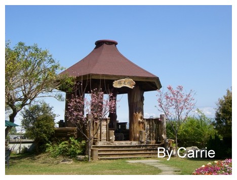 【台中旅遊】新社櫻花林 @飛天璇的口袋