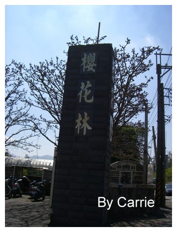 【台中旅遊】新社櫻花林 @飛天璇的口袋
