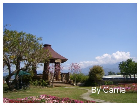 【台中旅遊】新社櫻花林 @飛天璇的口袋