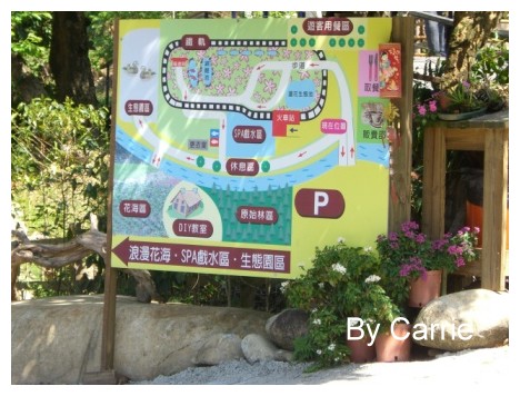 【台中旅遊】新社櫻花林 @飛天璇的口袋