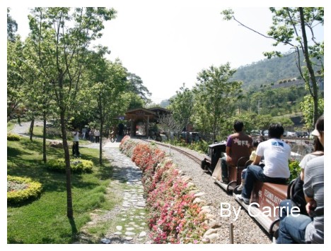 【台中旅遊】新社櫻花林 @飛天璇的口袋