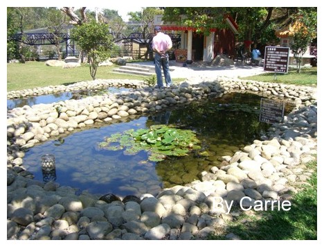 【台中旅遊】新社櫻花林 @飛天璇的口袋