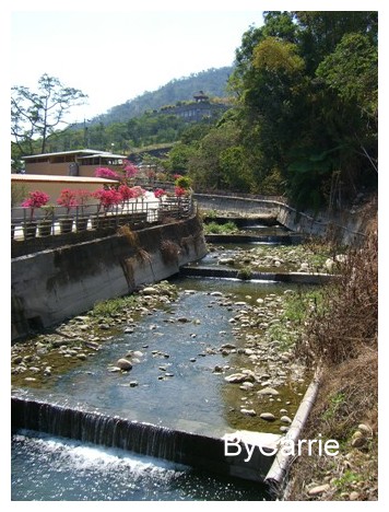 【台中旅遊】新社櫻花林 @飛天璇的口袋