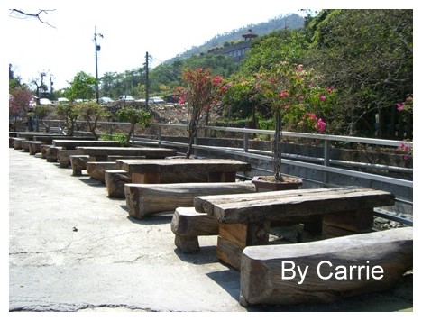 【台中旅遊】新社櫻花林 @飛天璇的口袋