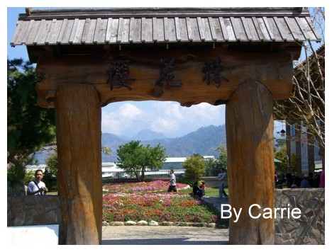 【台中旅遊】新社櫻花林 @飛天璇的口袋