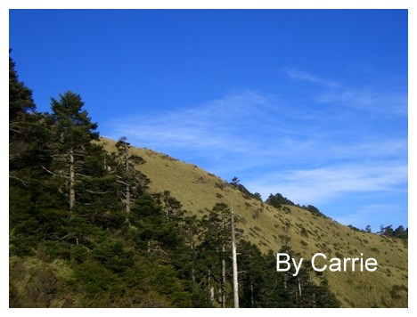 【南投旅遊】合歡山 @飛天璇的口袋