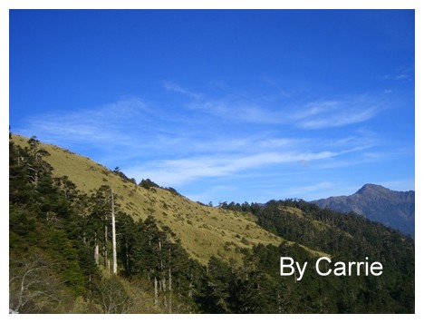 【南投旅遊】合歡山 @飛天璇的口袋