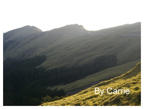 【南投旅遊】合歡山 @飛天璇的口袋