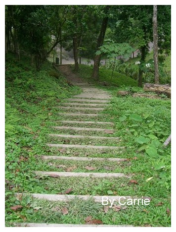 【台中旅遊】2009東勢林場油桐花季 @飛天璇的口袋