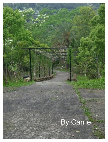 【台中旅遊】2009東勢林場油桐花季 @飛天璇的口袋