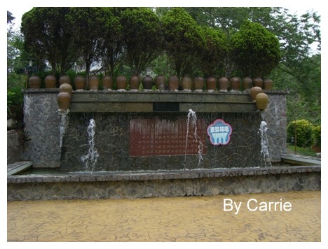 【台中旅遊】2009東勢林場油桐花季 @飛天璇的口袋