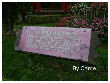 【台中旅遊】2009東勢林場油桐花季 @飛天璇的口袋