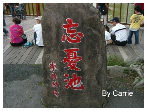 【台中旅遊】2009東勢林場油桐花季 @飛天璇的口袋