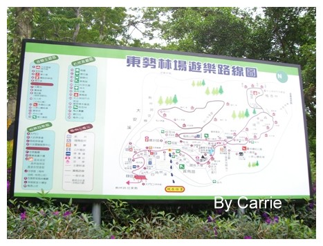 【台中旅遊】2009東勢林場油桐花季 @飛天璇的口袋