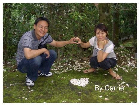 【台中旅遊】2009東勢林場油桐花季 @飛天璇的口袋