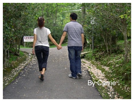 【台中旅遊】2009東勢林場油桐花季 @飛天璇的口袋