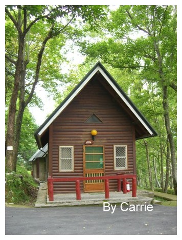 【台中旅遊】2009東勢林場油桐花季 @飛天璇的口袋