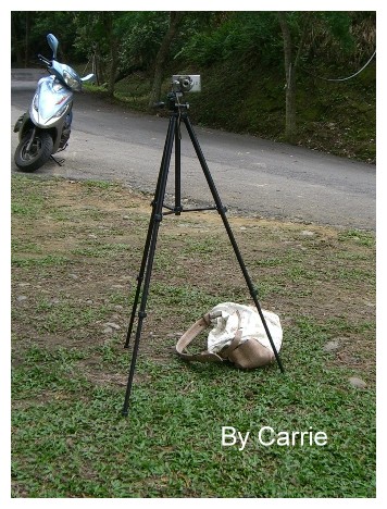 【台中旅遊】2009東勢林場油桐花季 @飛天璇的口袋