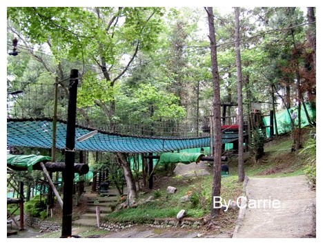 【台中旅遊】2009東勢林場油桐花季 @飛天璇的口袋