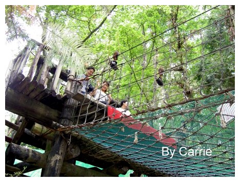 【台中旅遊】2009東勢林場油桐花季 @飛天璇的口袋