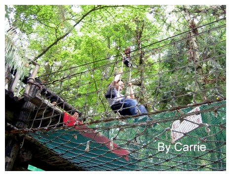 【台中旅遊】2009東勢林場油桐花季 @飛天璇的口袋