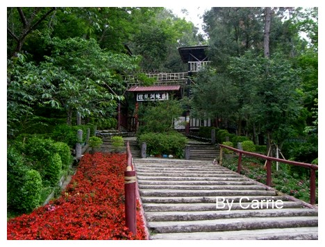 【台中旅遊】2009東勢林場油桐花季 @飛天璇的口袋