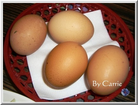 【台中餐廳】北澤壽喜燒專門店 @飛天璇的口袋