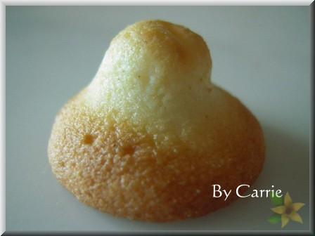 【嘉義團購美食】福義軒蛋捲 @飛天璇的口袋