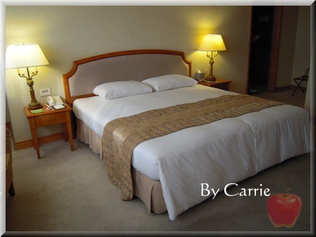 【高雄飯店住宿】寒軒國際大飯店 @飛天璇的口袋