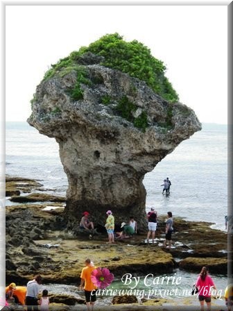 小琉球一日遊：交通方式、租車資訊、必玩景點、小吃美食 @飛天璇的口袋