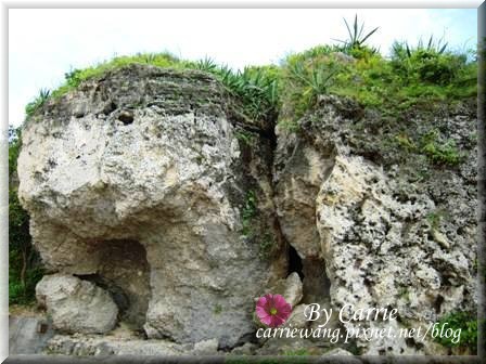 小琉球一日遊：交通方式、租車資訊、必玩景點、小吃美食 @飛天璇的口袋